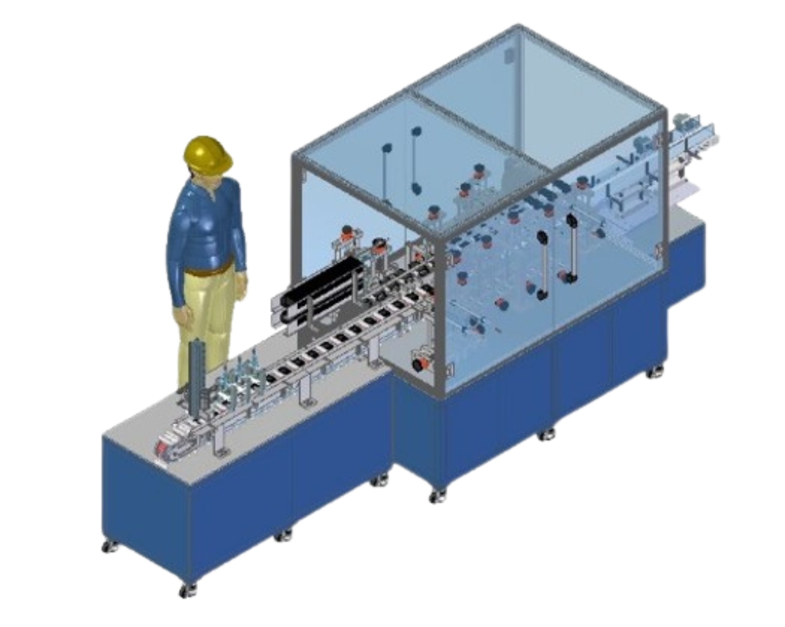 3D Image
